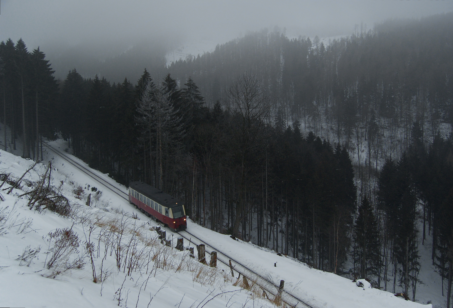 Aufstieg in den Nebel