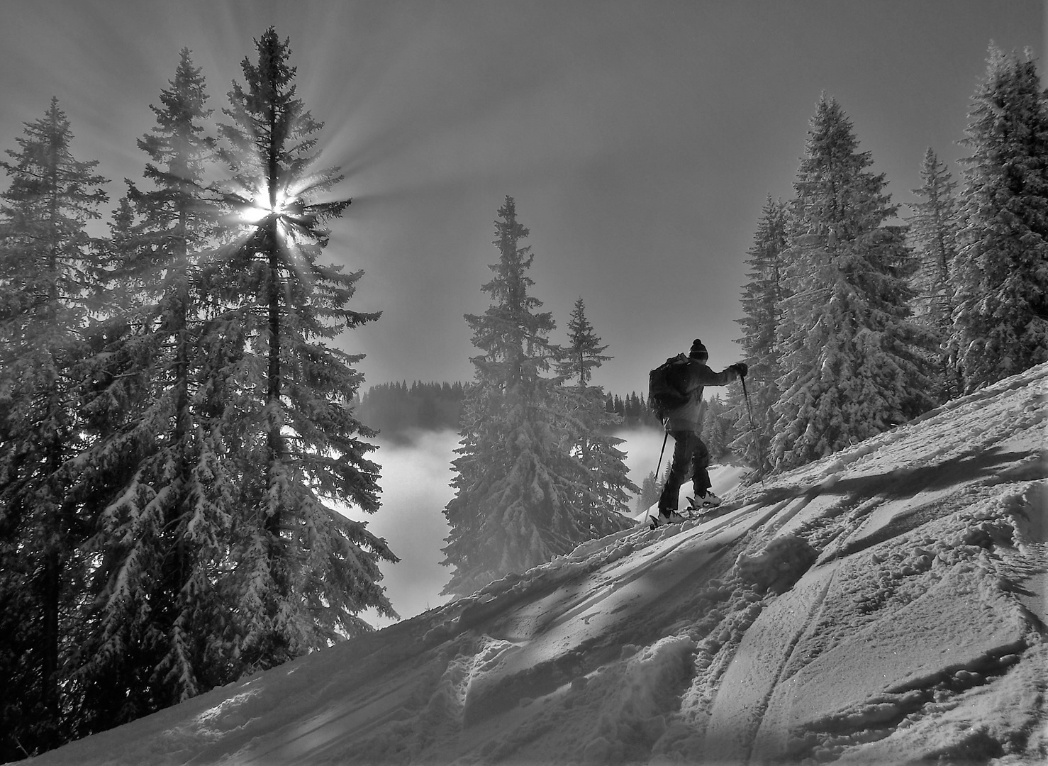 Aufstieg ins Licht