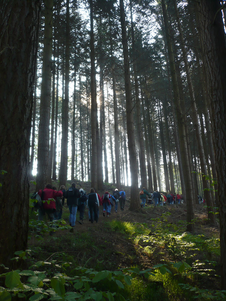 Aufstieg ins Licht