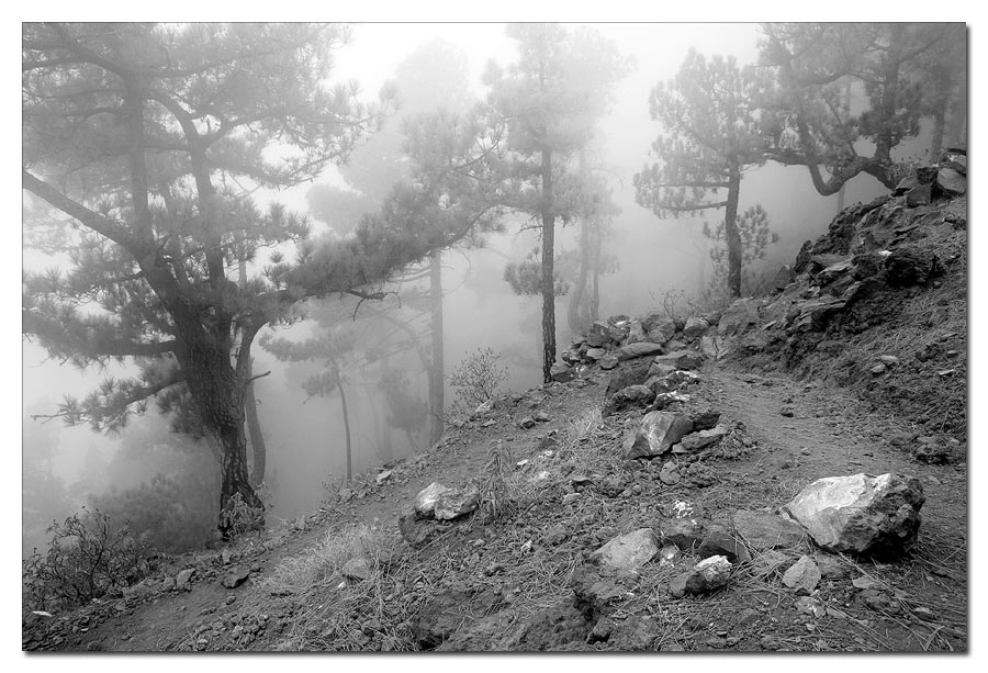 Aufstieg Pico Bejenado im Nebel
