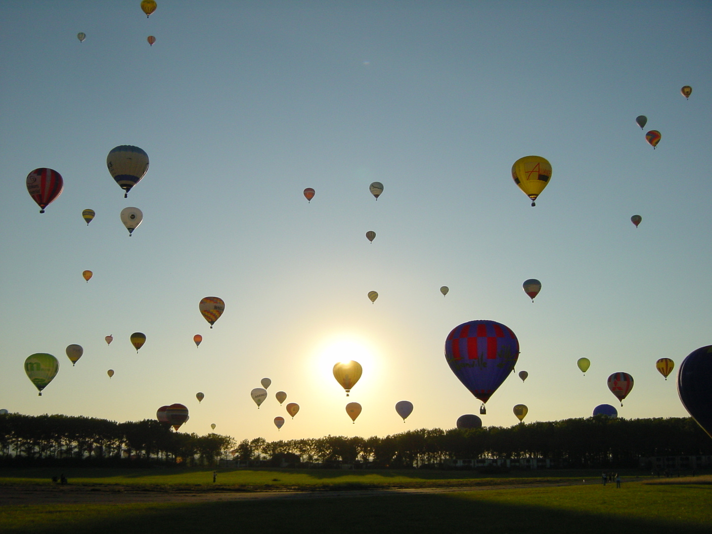 Aufstieg von 48 Heißlutfballons im Gegenlicht