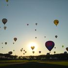 Aufstieg von 48 Heißlutfballons im Gegenlicht