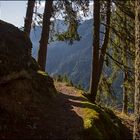 Aufstieg zu den Ratzeller Bergwiesen (Edelweißweg)