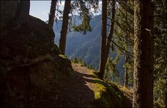 Aufstieg zu den Ratzeller Bergwiesen (Edelweißweg)