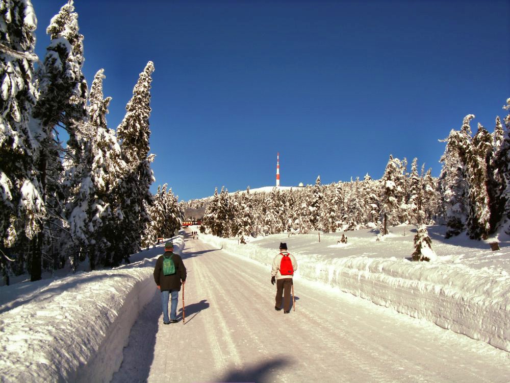 Aufstieg zum Brocken by Ulla Moch 