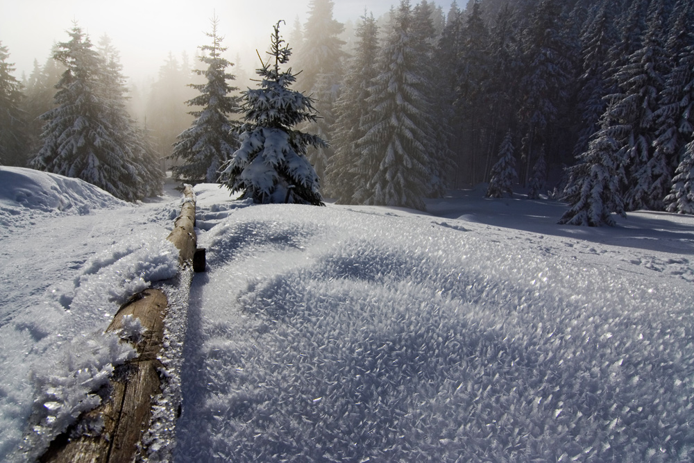 Aufstieg zum Brocken