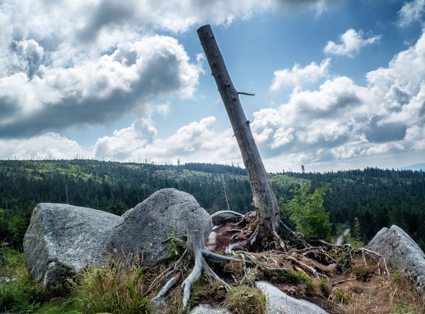 Aufstieg zum Dreisesselberg 