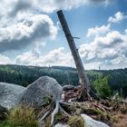 Aufstieg zum Dreisesselberg 