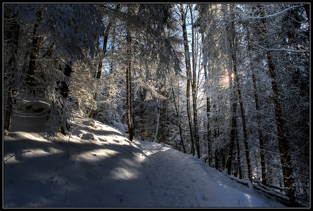 Aufstieg zum Eckbauer am 04.12.2010