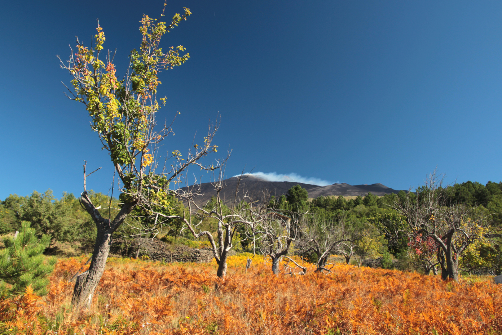 Aufstieg zum Etna