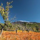 Aufstieg zum Etna