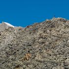 Aufstieg zum Gipfelkreuz Eggishorn 