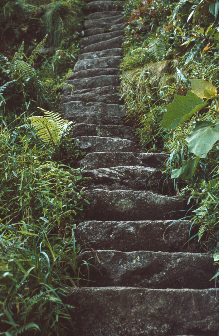  Aufstieg zum Huayna Picchu