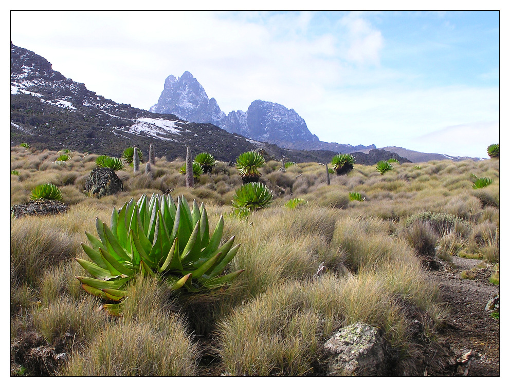 Aufstieg zum Mount Kenya