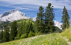 Aufstieg zum Osterfeldkopf mit Blick auf die Alpspitze