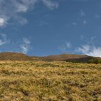 Aufstieg zum Pfannhorn (4). Über der Baumgrenze, einmal umgedreht, die angehängte Aufnahme unten...