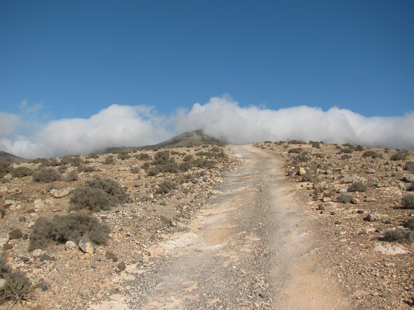 Aufstieg zum Pico de la Zarza