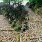 Aufstieg zum Puig de Maria (Mallorca)