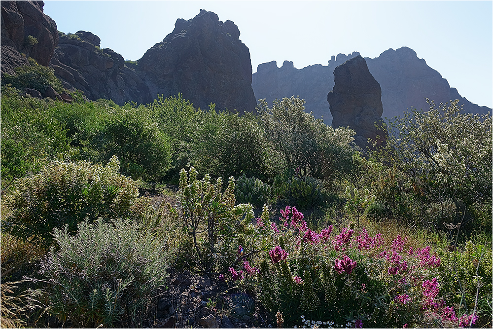 Aufstieg zum Rock Nublo, Nr.2 im Rothen Wanderführer