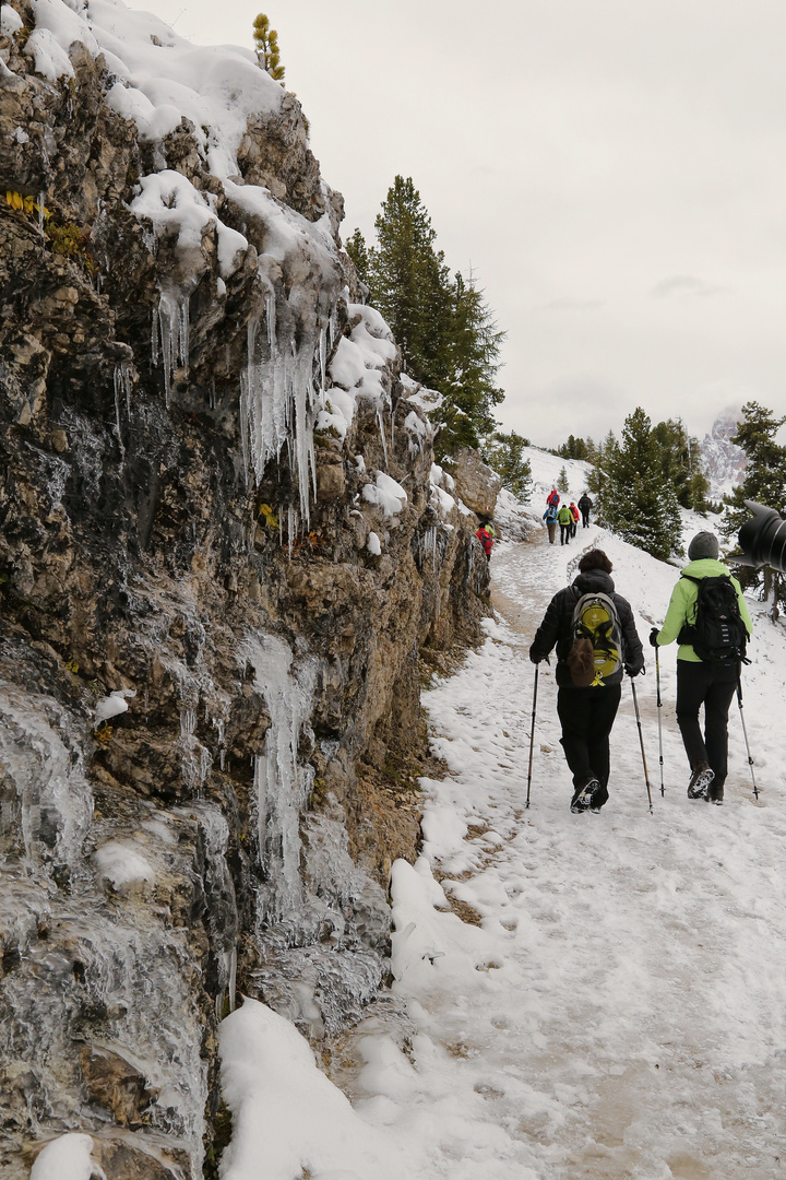 Aufstieg zum Strudelkopf, 2307 m (2017_09_20_EOS 6D_5880_j)i