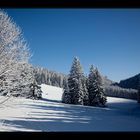 Aufstieg zum Tirolerkogel