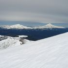 aufstieg zum volcán Lonquimay 2865m  (CHILE)