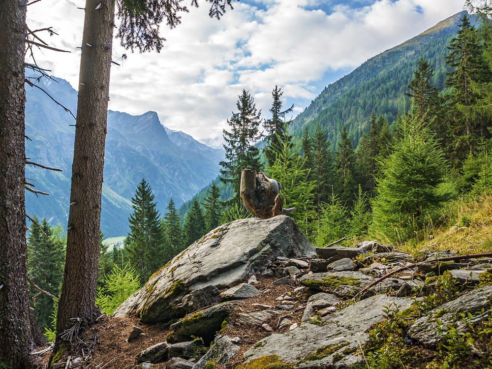 Aufstieg zur Arzler Alm