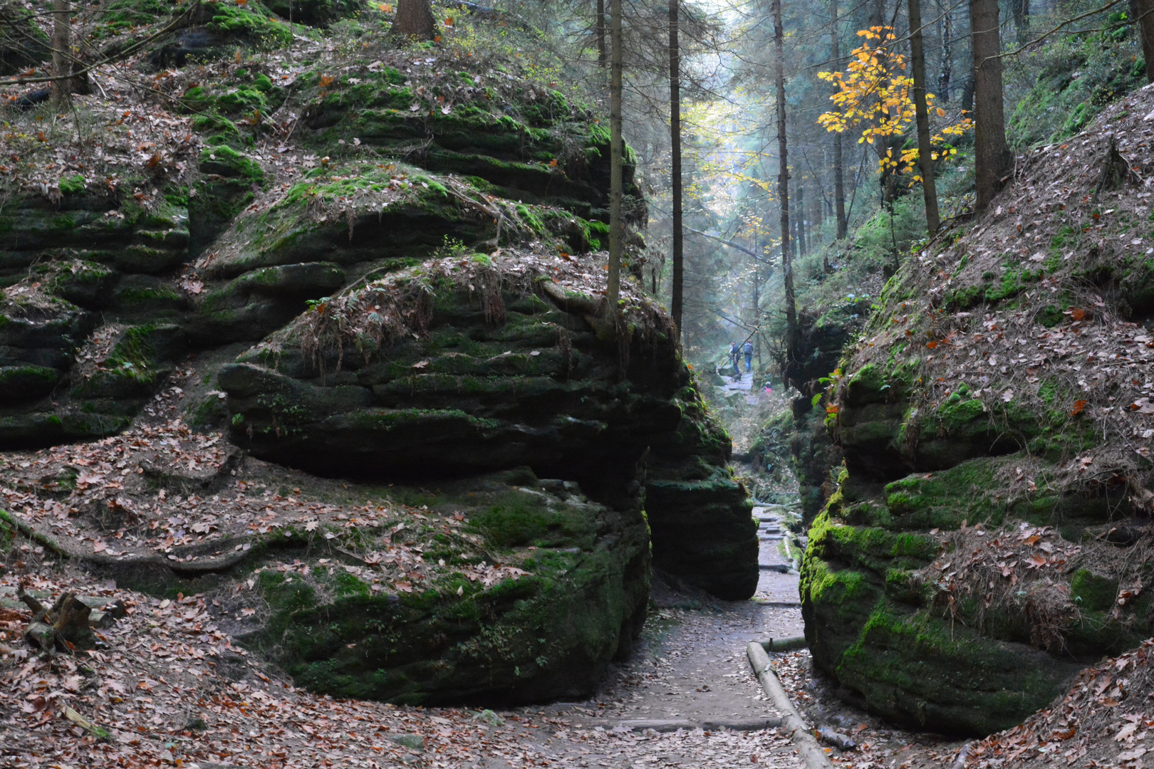 Aufstieg zur Bastei