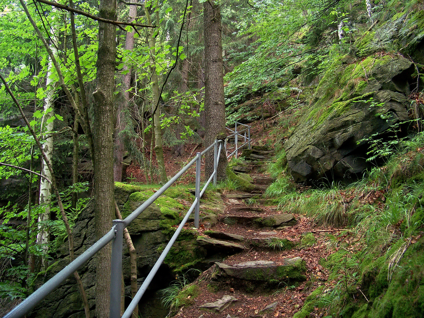 Aufstieg zur Brückenklippe