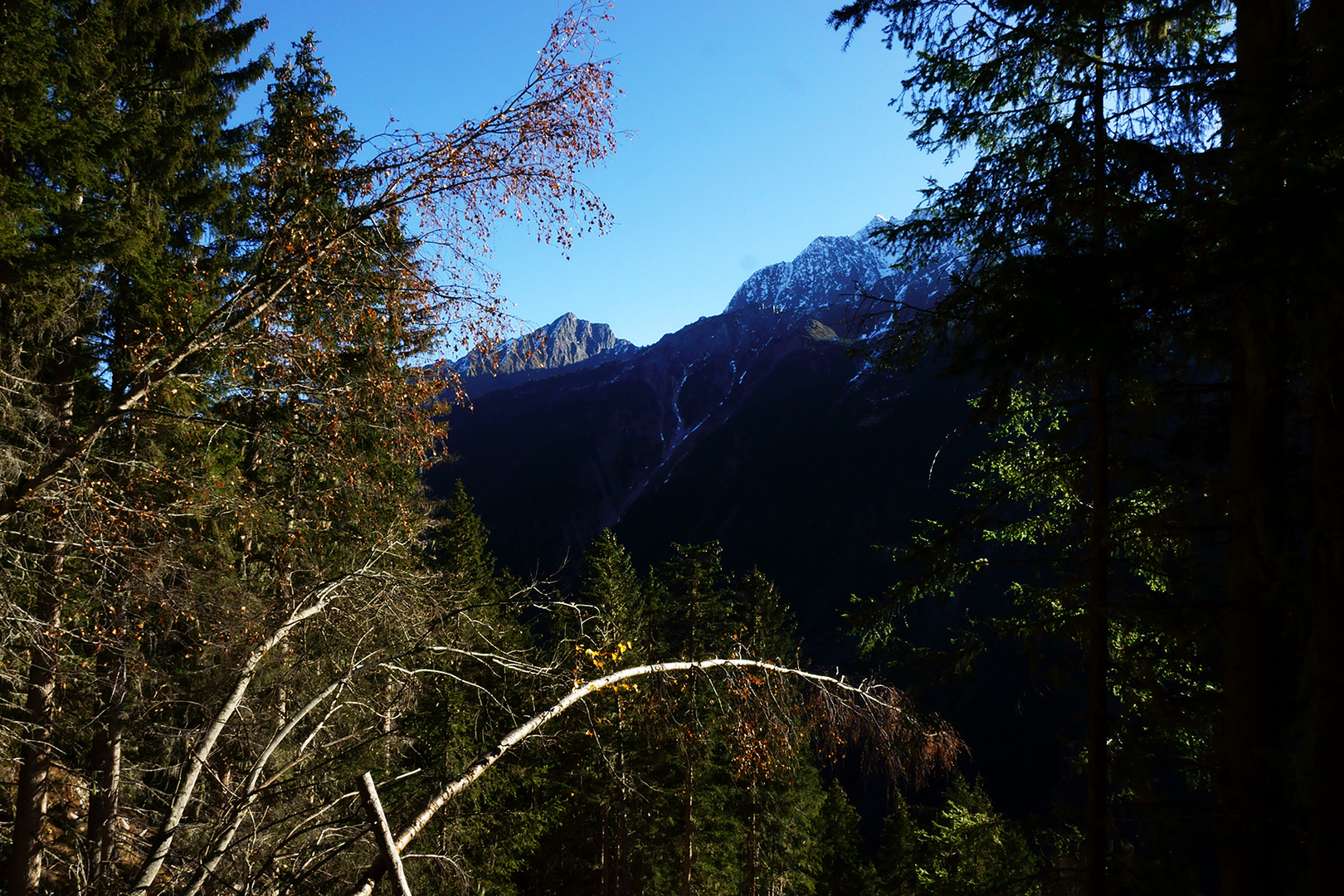 Aufstieg zur Falbesonalm im Stubaital