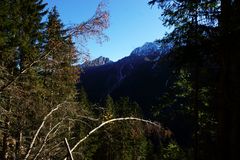 Aufstieg zur Falbesonalm im Stubaital