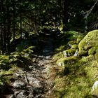 Aufstieg zur Falbesonalm im Stubaital