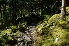 Aufstieg zur Falbesonalm im Stubaital