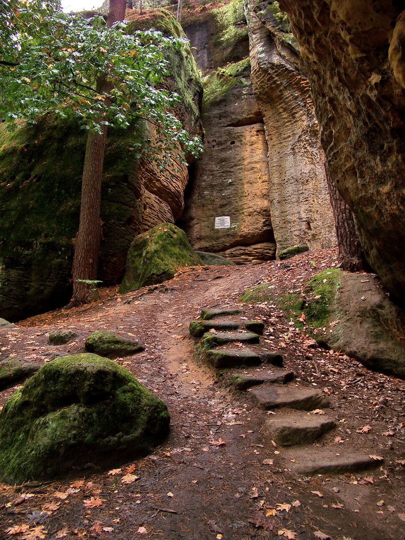 Aufstieg zur Götzingerhöhle