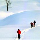 Aufstieg zur "Hohen Kugel", Vorarlberg/Österreich  