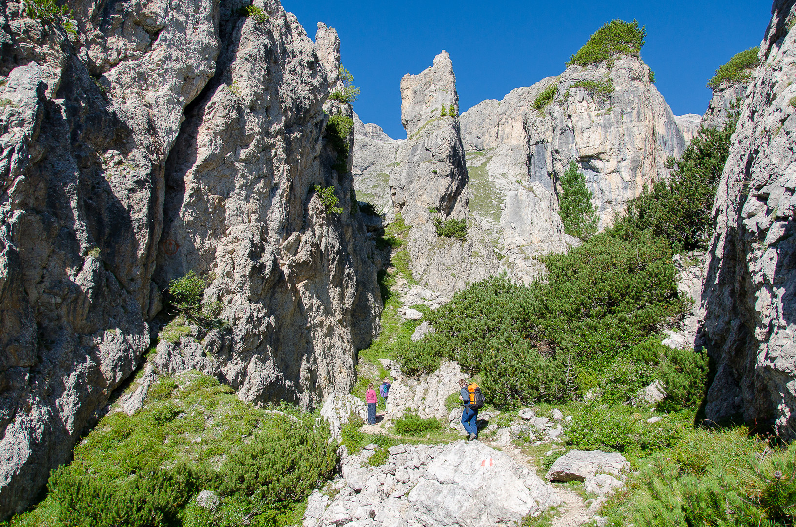 Aufstieg zur Hütte