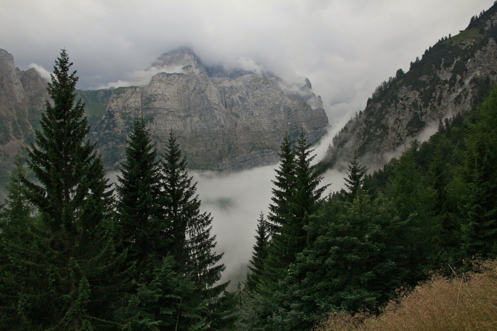 Aufstieg zur Mauthner Alm (2015_07_13_EOS 550D_1450_ji)