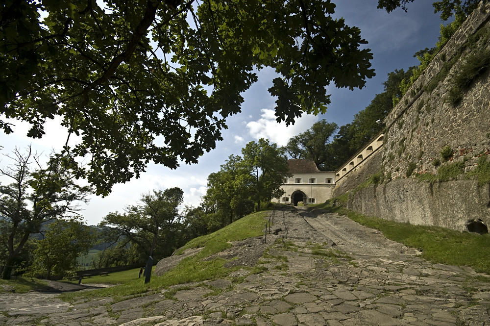 Aufstieg zur Riegersburg - Originalfoto