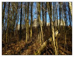 Aufstieg zur Ruine Rothenberg