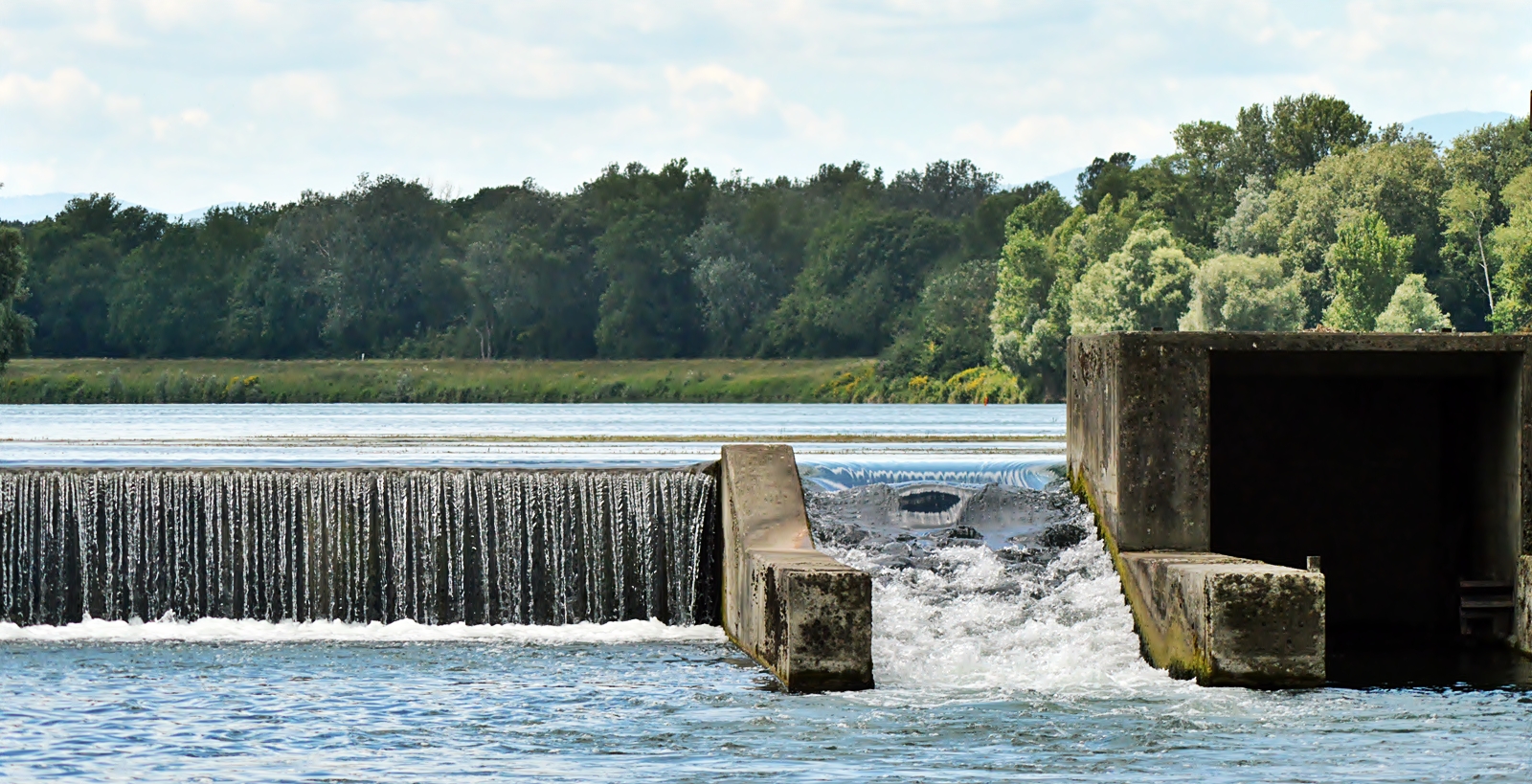 Aufstiegshilfe für Fische