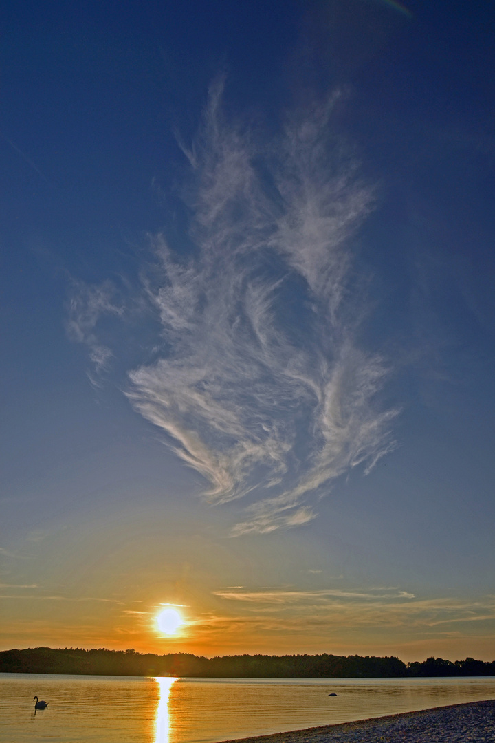 Aufstrebende Federwölkchen im Sonnenuntergang