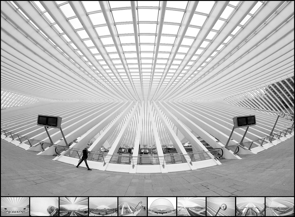 Auftakt zur Serie "Liège - Calatrava"