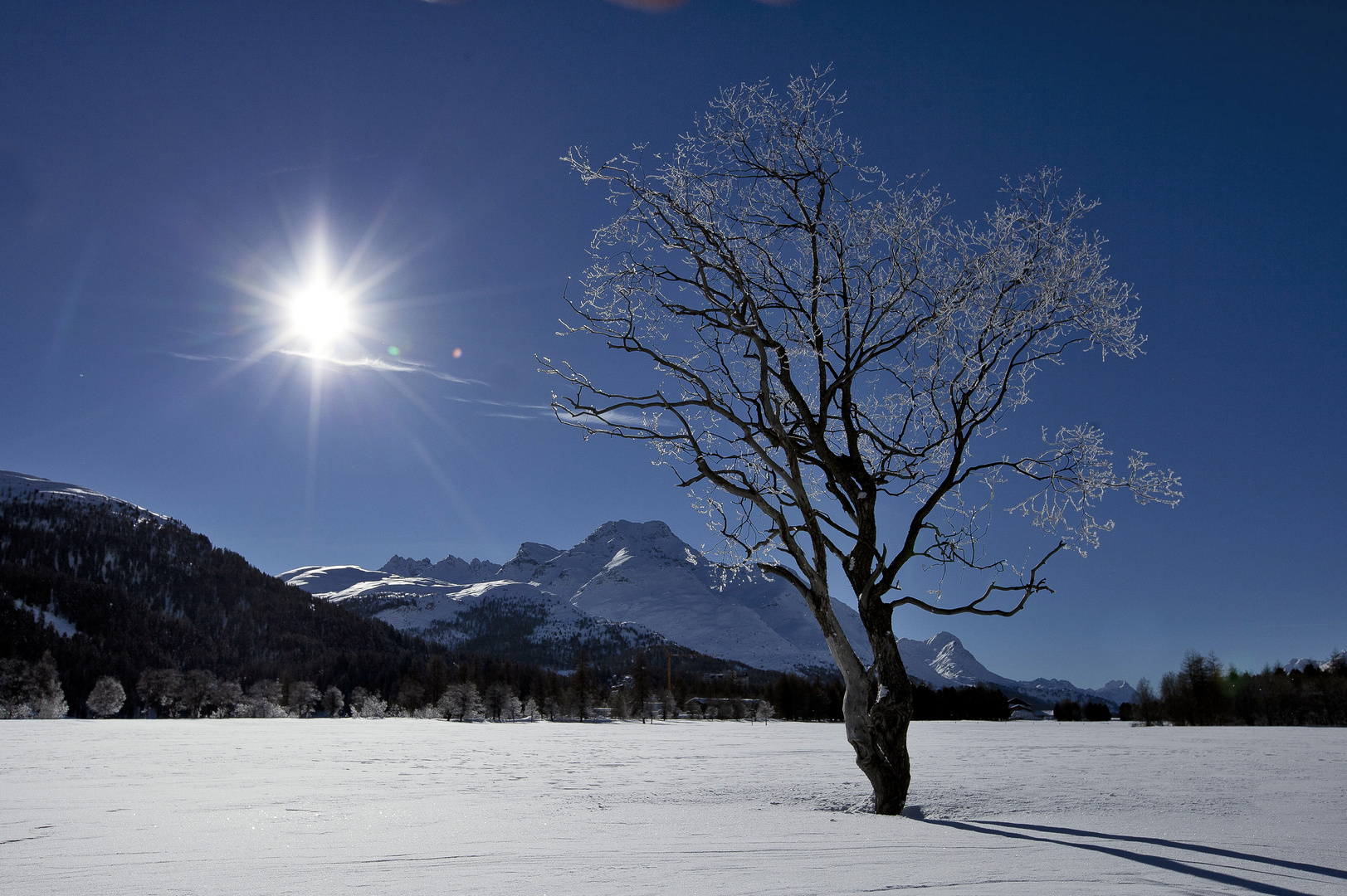 Auftanken für die kalte Winternacht