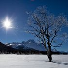 Auftanken für die kalte Winternacht