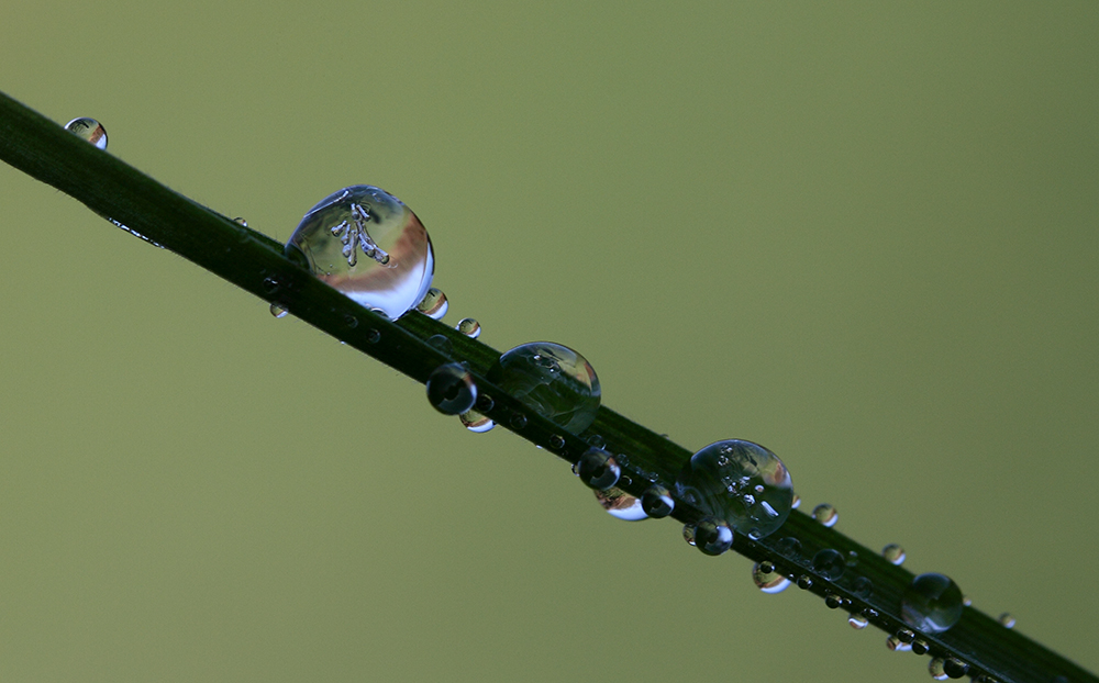 AufTauWetter II