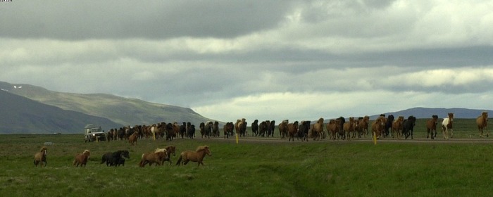 Auftrieb ins Hochland - Into the Highlands