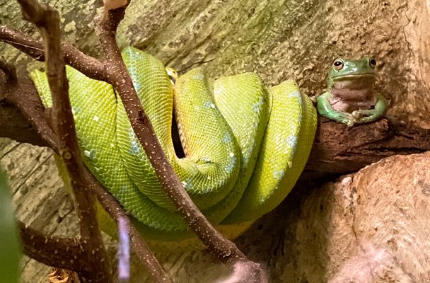 Aufwachen nach der Partynacht...