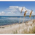 Aufwärmen am Strand