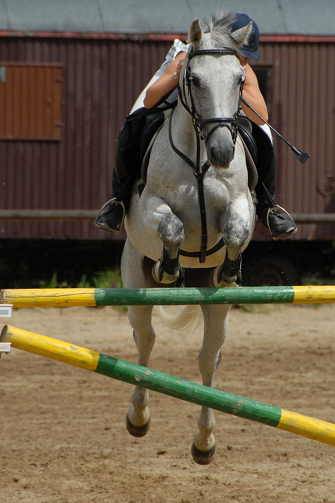 Aufwärmen für Pferd und Reiterin 2