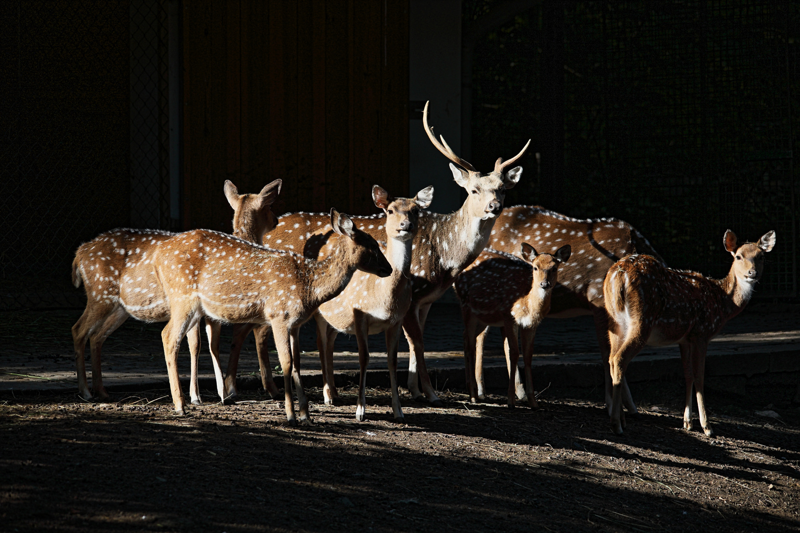 Aufwärmen in der Morgensonne